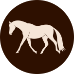 Windemere Equestrian logo