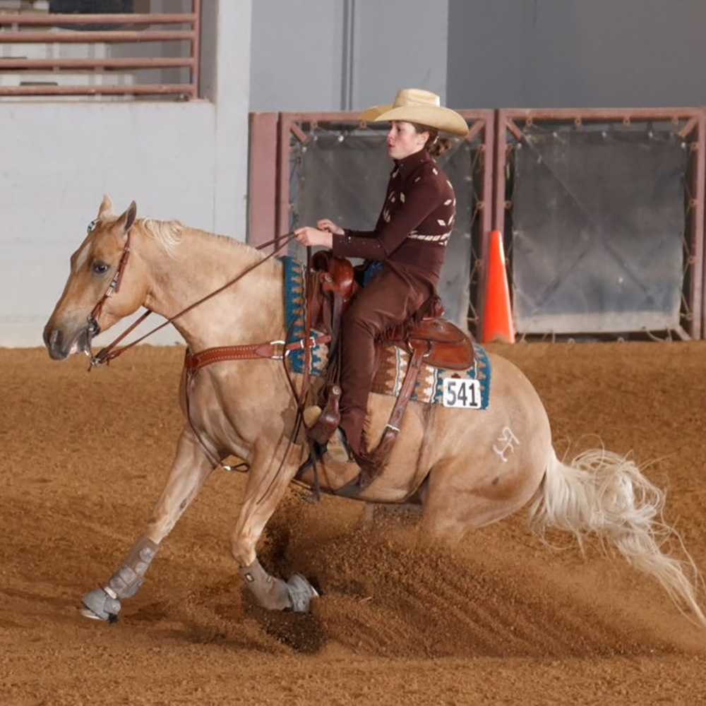 Reining